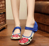 Chinese Style Leisure Flats Shoes